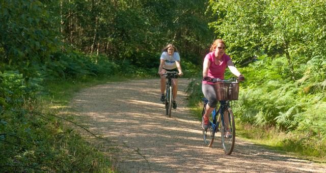 new forest cycling tours